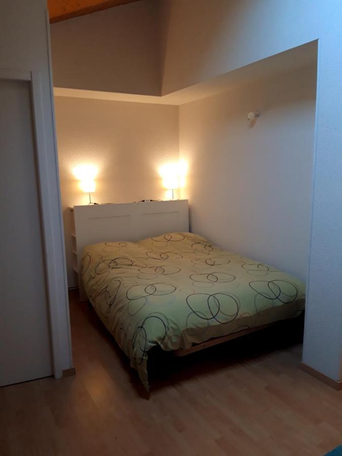 T3 Duplex Lumineux En Centre-Ville Сустон Экстерьер фото