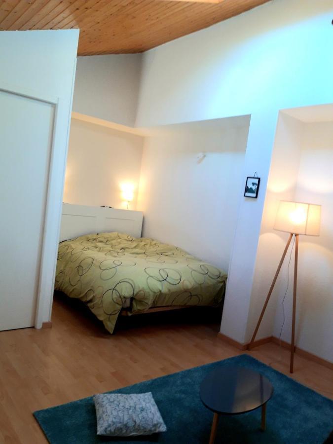 T3 Duplex Lumineux En Centre-Ville Сустон Экстерьер фото